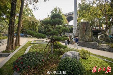 开放了！武汉长江大桥下，全国人赶来