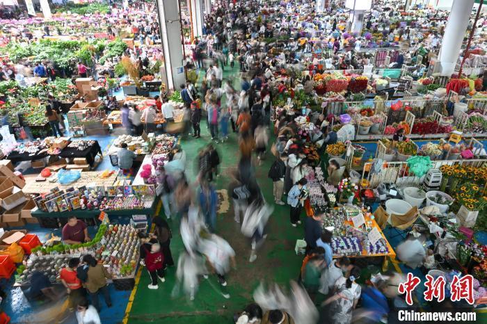 昆明斗南花市国庆假期人气旺