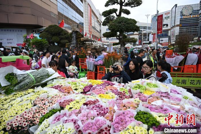 昆明斗南花市国庆假期人气旺