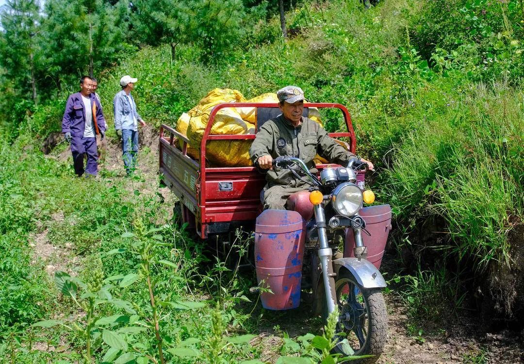 增收近百万，亩产破千斤，赶上“大年”丰收了