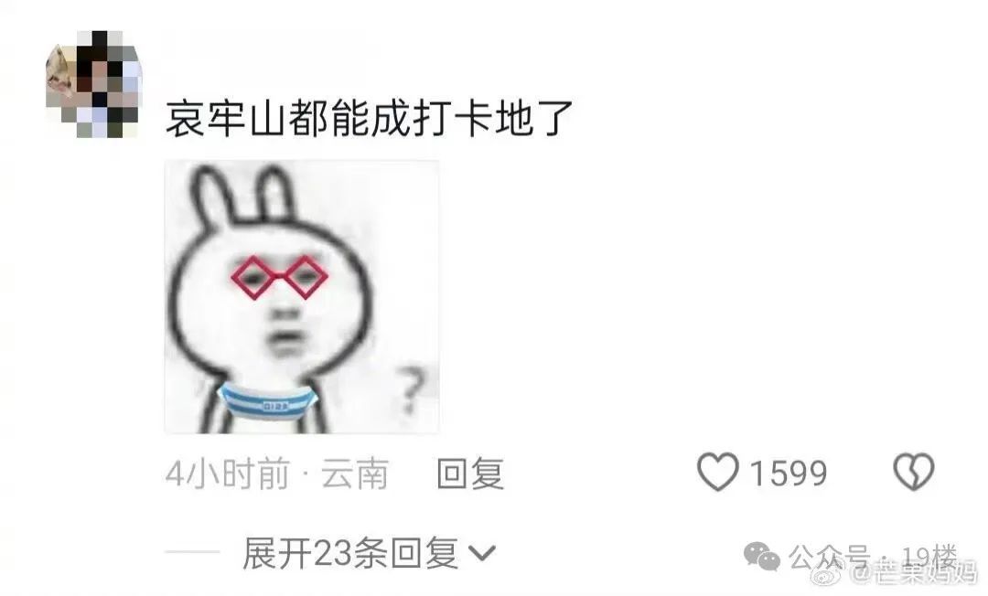 “禁区”变“景区”？一夜爆火！堵得水泄不通......