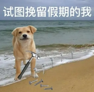 返程注意！上海今明天大到暴雨，局部大暴雨！