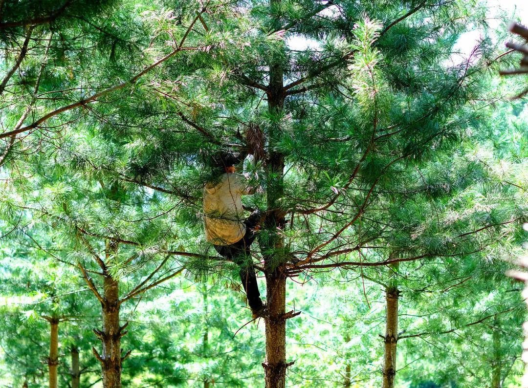 增收近百万，亩产破千斤，赶上“大年”丰收了