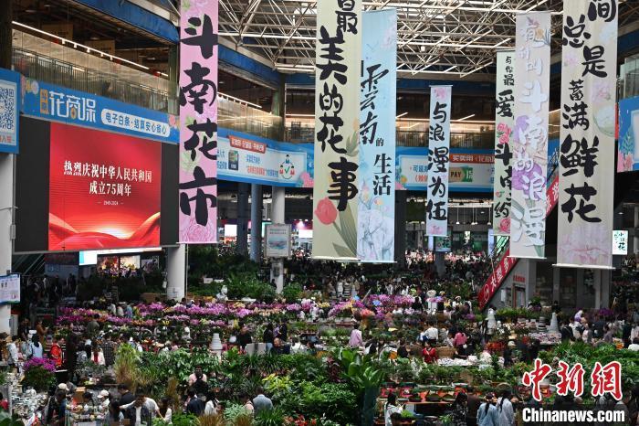 昆明斗南花市国庆假期人气旺