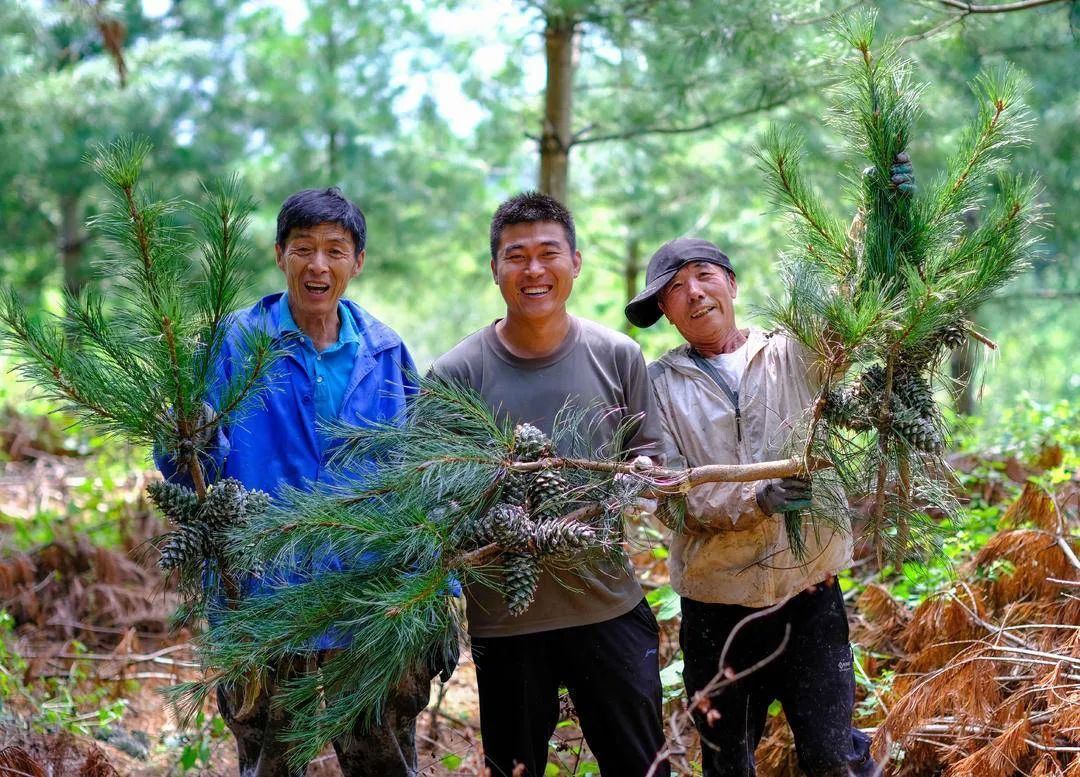 增收近百万，亩产破千斤，赶上“大年”丰收了