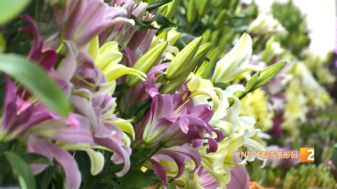 火出圈了！鲜花饼、鲜花、咖啡、茶……你到底爱哪种？