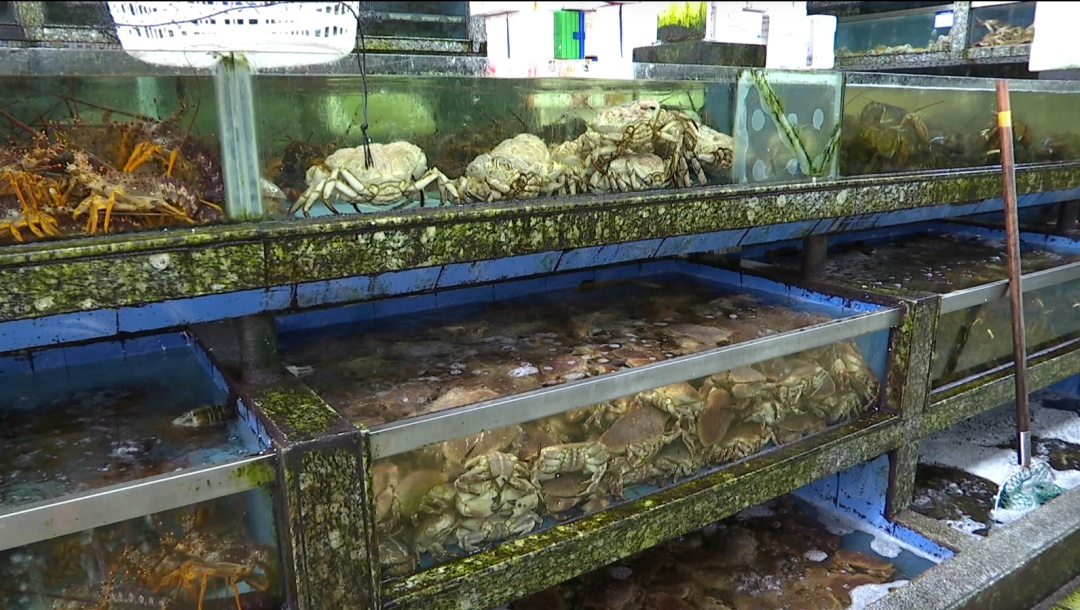 爆火!杭州老板一天能卖出上百万!不少人很爱... 爆火!杭州老板一天能卖出上百万!不少人很爱...