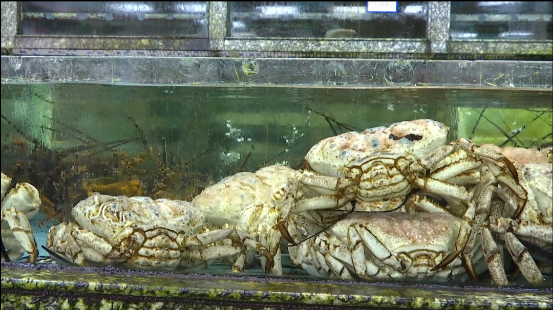 爆火!杭州老板一天能卖出上百万!不少人很爱... 爆火!杭州老板一天能卖出上百万!不少人很爱...