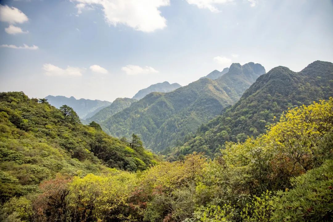 哀牢山：未开发区域严禁进入，曾有4人因公殉职