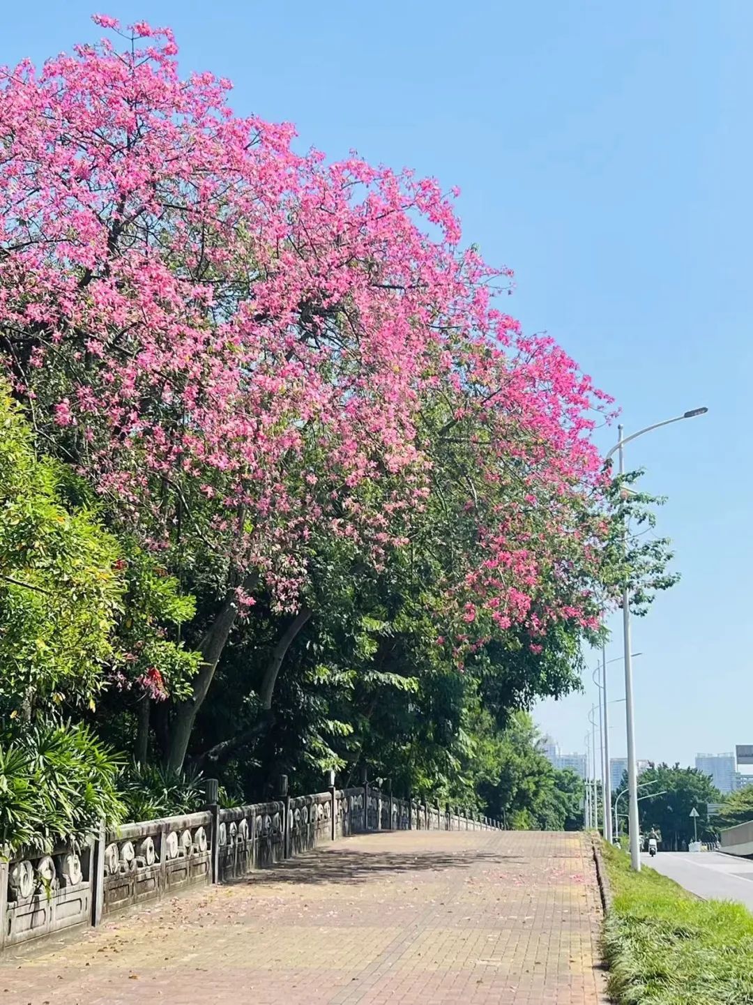 返程有雨！桂北最低气温15℃，南宁天气→