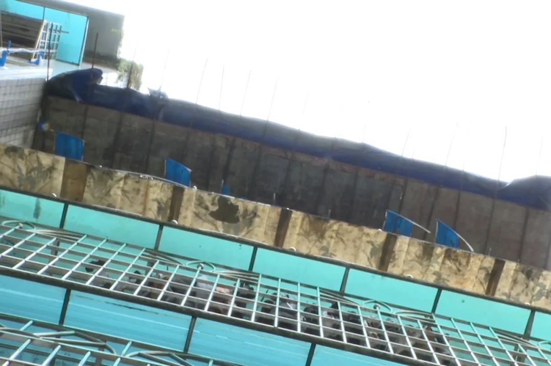 阳台外面建阳台，一户人家的装修惹怒了其他业主：简直不可理喻！