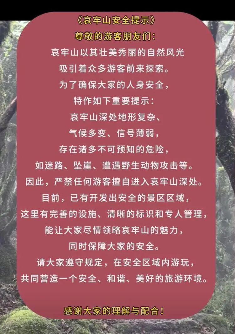 紧急提醒！突然爆火的哀牢山，曾有专业人员在此遇难