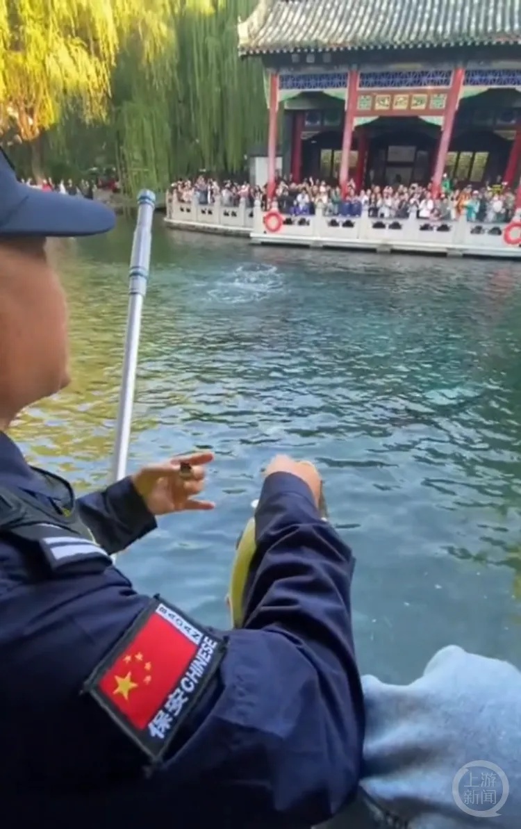 趵突泉鲤鱼被撑死好几条？景区回应