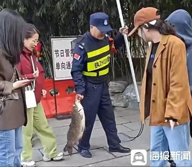 “撑死好几条了！” 景区保安劝游客不要喂鱼