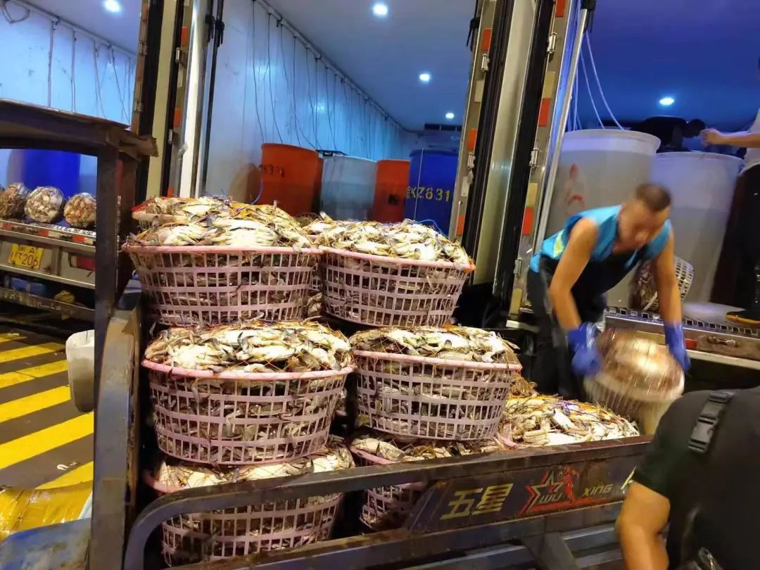 价格突然大跳水！卖不动了？正大量上市，最近餐桌上都有它