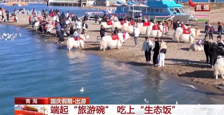 总要去趟青海湖吧~看湖面碧波万顷 听耳边秋风阵阵