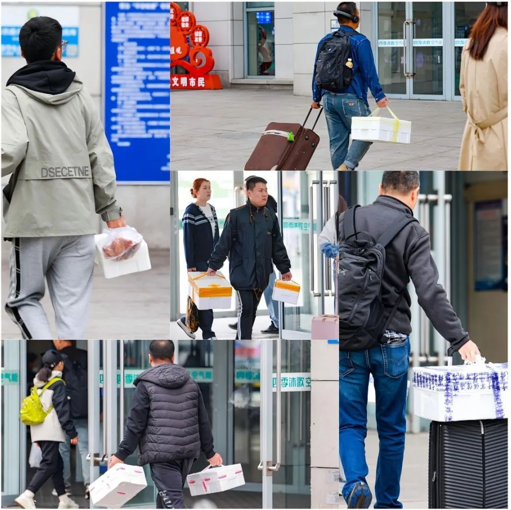 辽宁此地再现“人均小白箱”!这回带了啥? 辽宁此地再现“人均小白箱”!这回带了啥?