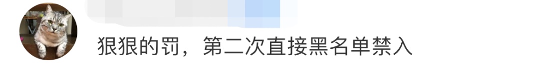 “撑死好几条了！” 景区保安劝游客不要喂鱼