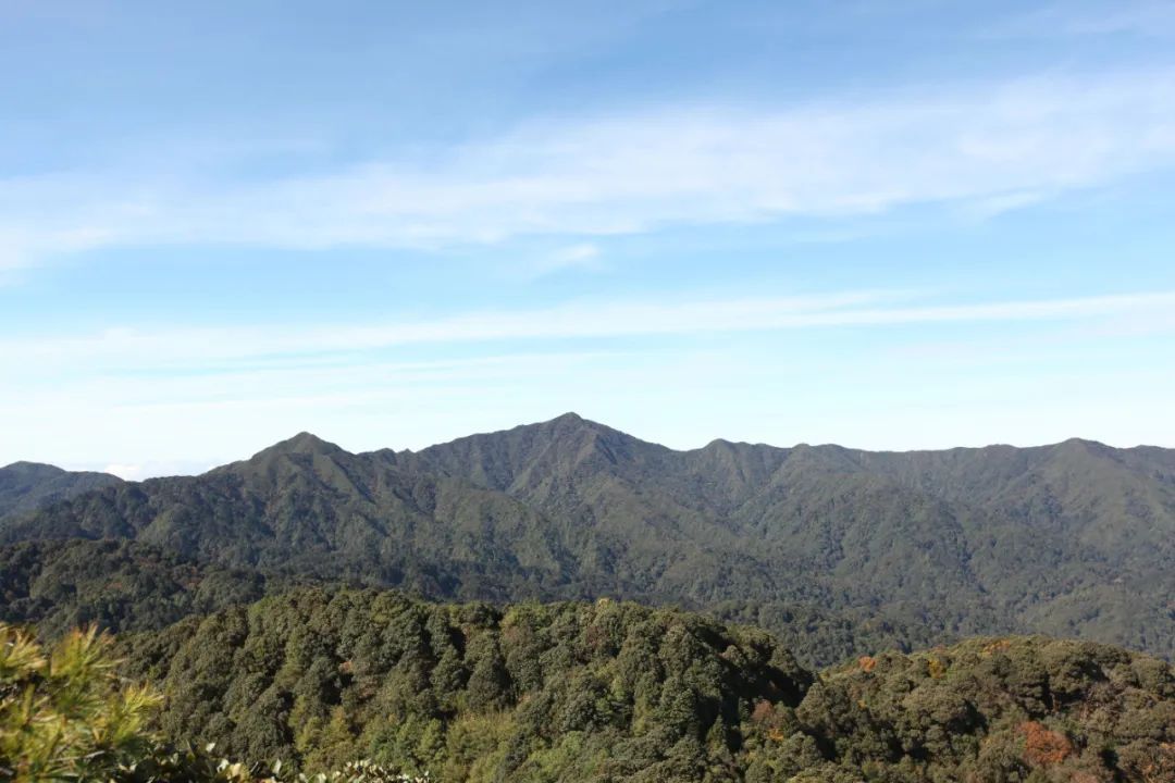 哀牢山：未开发区域严禁进入，曾有4人因公殉职