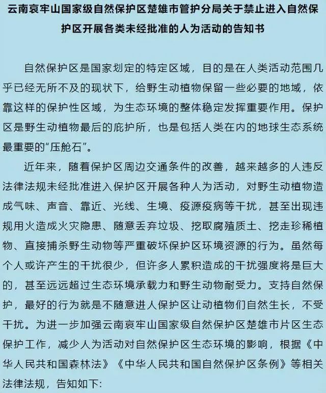 在哀牢山拍写真引热议，当事人：是开放景区！最新规定：擅闯保护区最高罚5000元