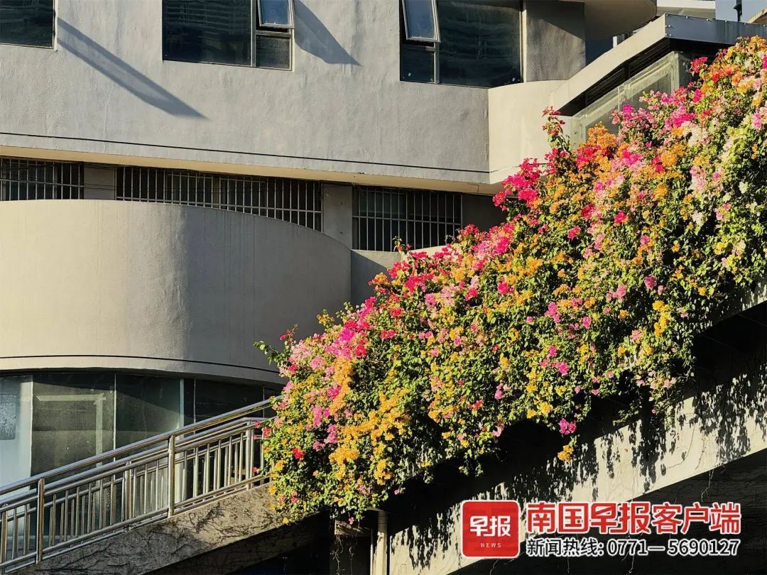 新一股冷空气来袭!广西昼夜温差将达10℃以上,返程天气情况→ 新一股冷空气来袭!广西昼夜温差将达10℃以上,返程天气情况→