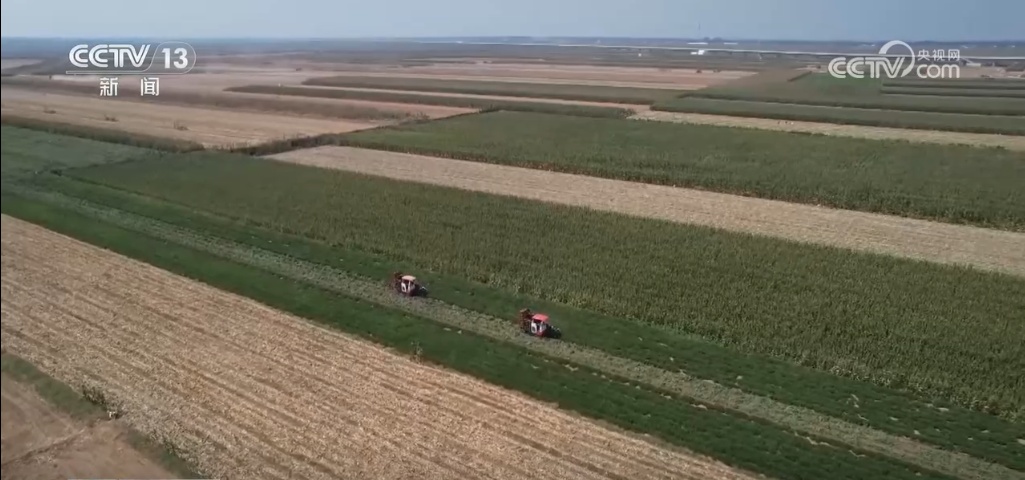 秋染田野 稻谷飘香 希望的田野上奏响农业丰收“交响曲” 秋染田野 稻谷飘香 希望的田野上奏响农业丰收“交响曲”