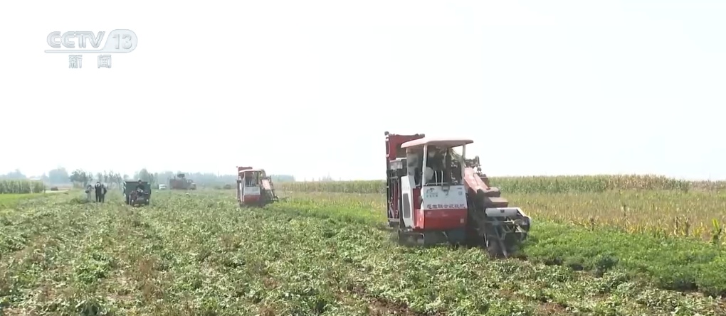 秋染田野 稻谷飘香 希望的田野上奏响农业丰收“交响曲” 秋染田野 稻谷飘香 希望的田野上奏响农业丰收“交响曲”
