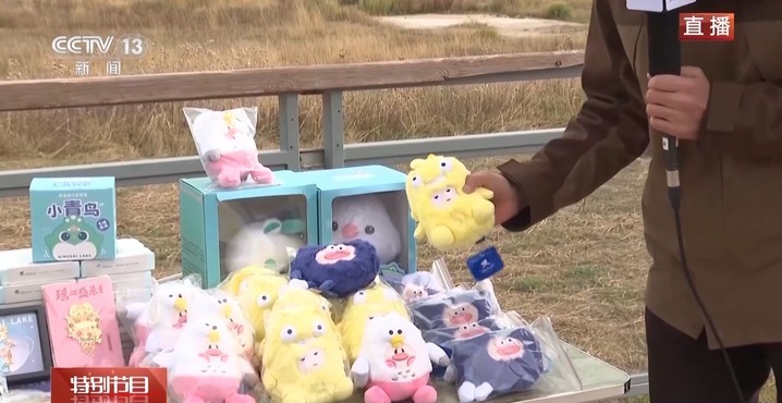 总要去趟青海湖吧~看湖面碧波万顷 听耳边秋风阵阵