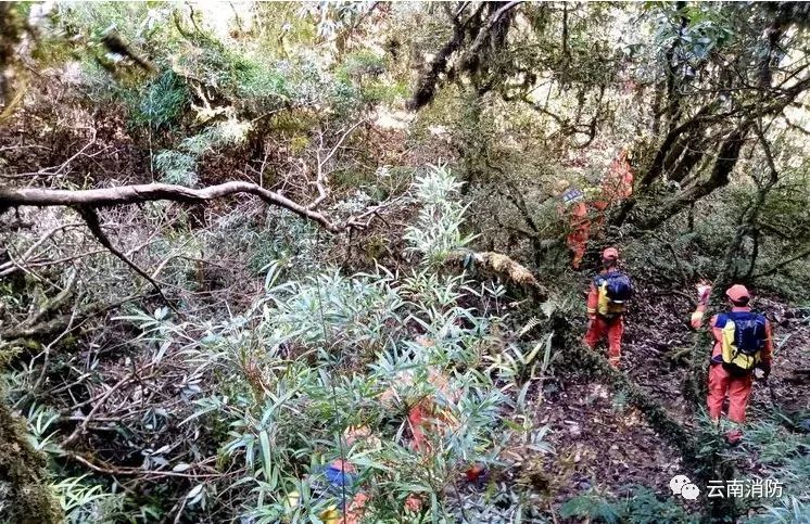 紧急提醒！突然爆火的哀牢山，曾有专业人员在此遇难