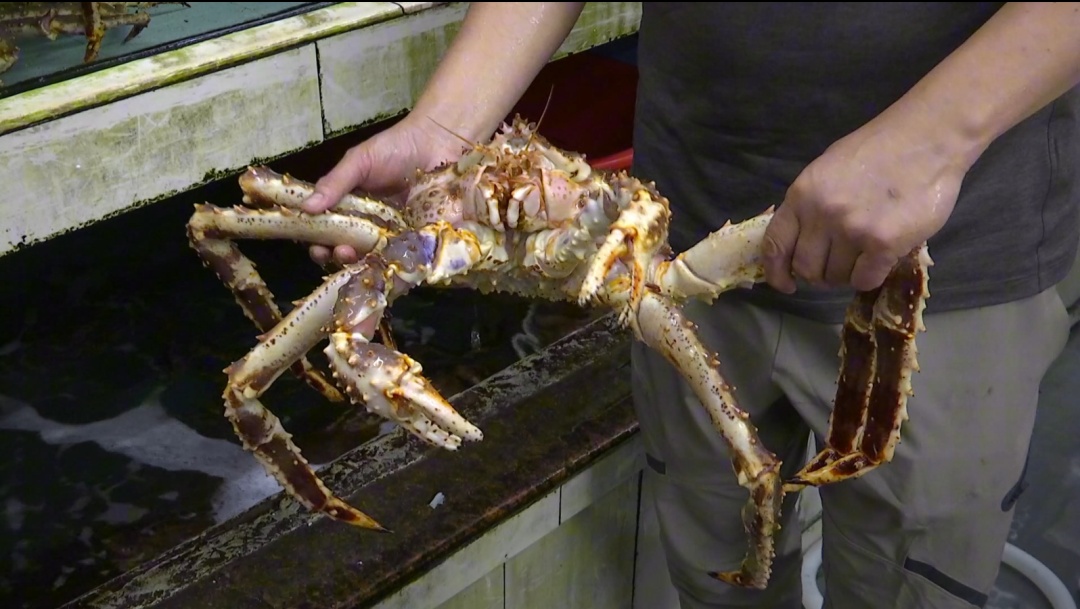 爆火!杭州老板一天能卖出上百万!不少人很爱... 爆火!杭州老板一天能卖出上百万!不少人很爱...