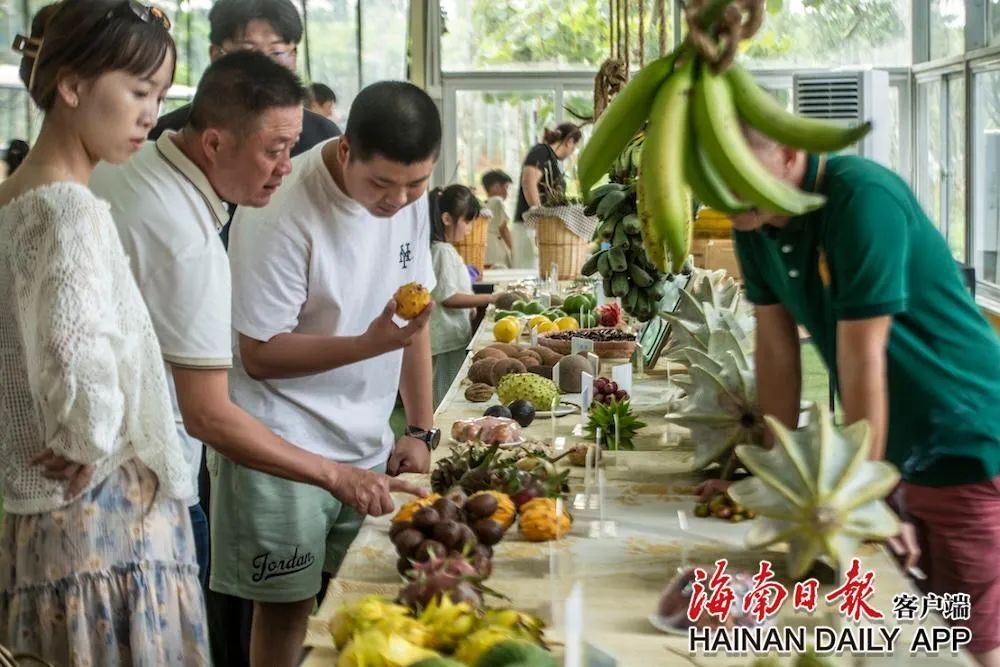 这个假期，海南岛东部滨海游很火热！