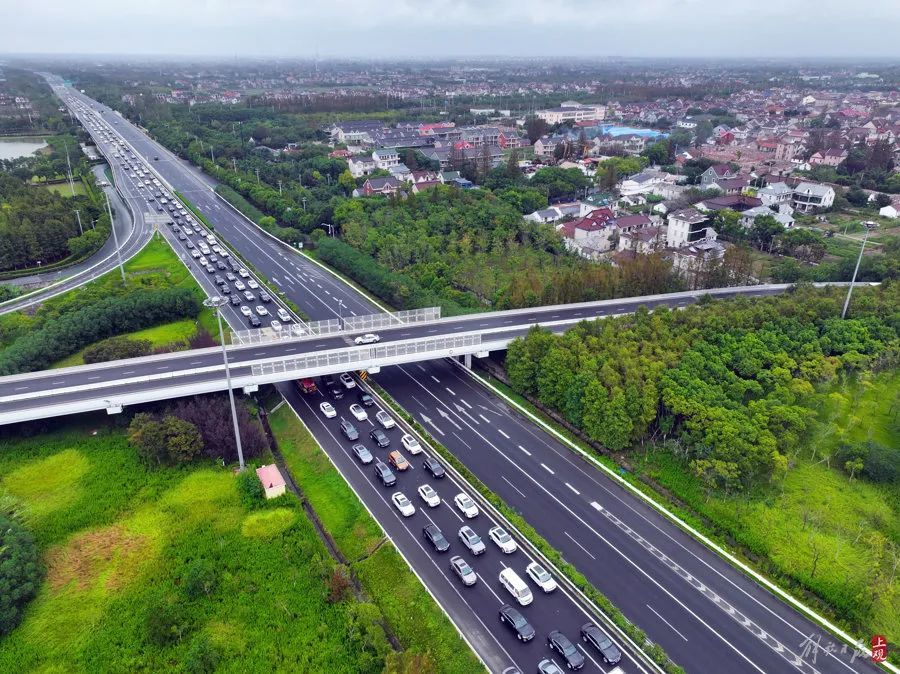 上海长江隧桥返沪方向，拍出了停车场的感觉！网友：“猪肝紫”假期永不缺席