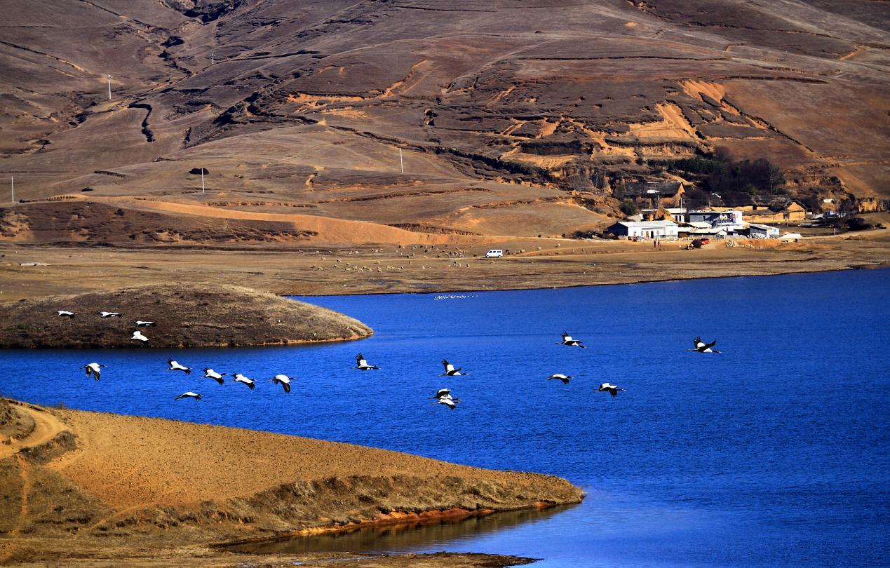 我的宝藏家乡 | 有一种生活叫云南