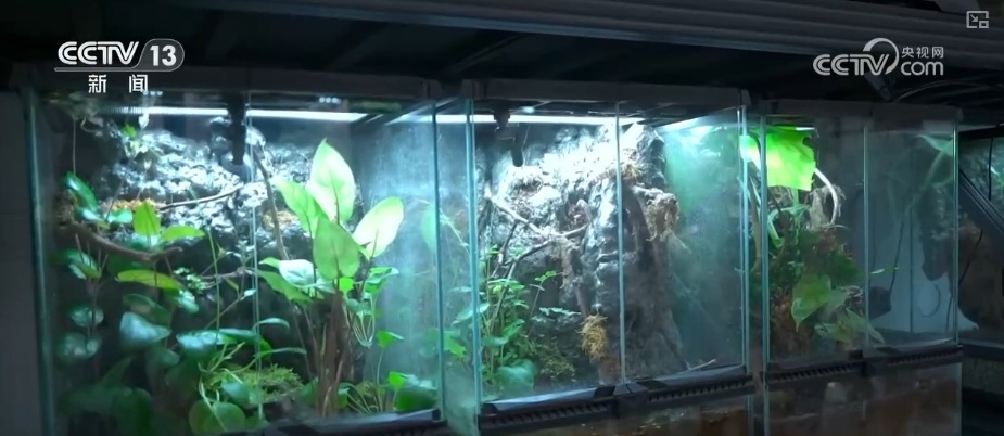 “科普盛宴”“寻味之旅”“文化探寻”……假日文旅消费“新”意浓