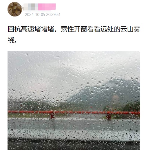 上海长江隧桥返沪方向，拍出了停车场的感觉！网友：“猪肝紫”假期永不缺席