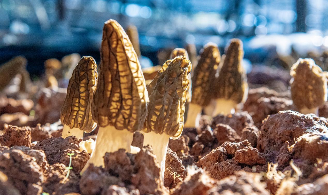 我的宝藏家乡 | 有一种生活叫云南