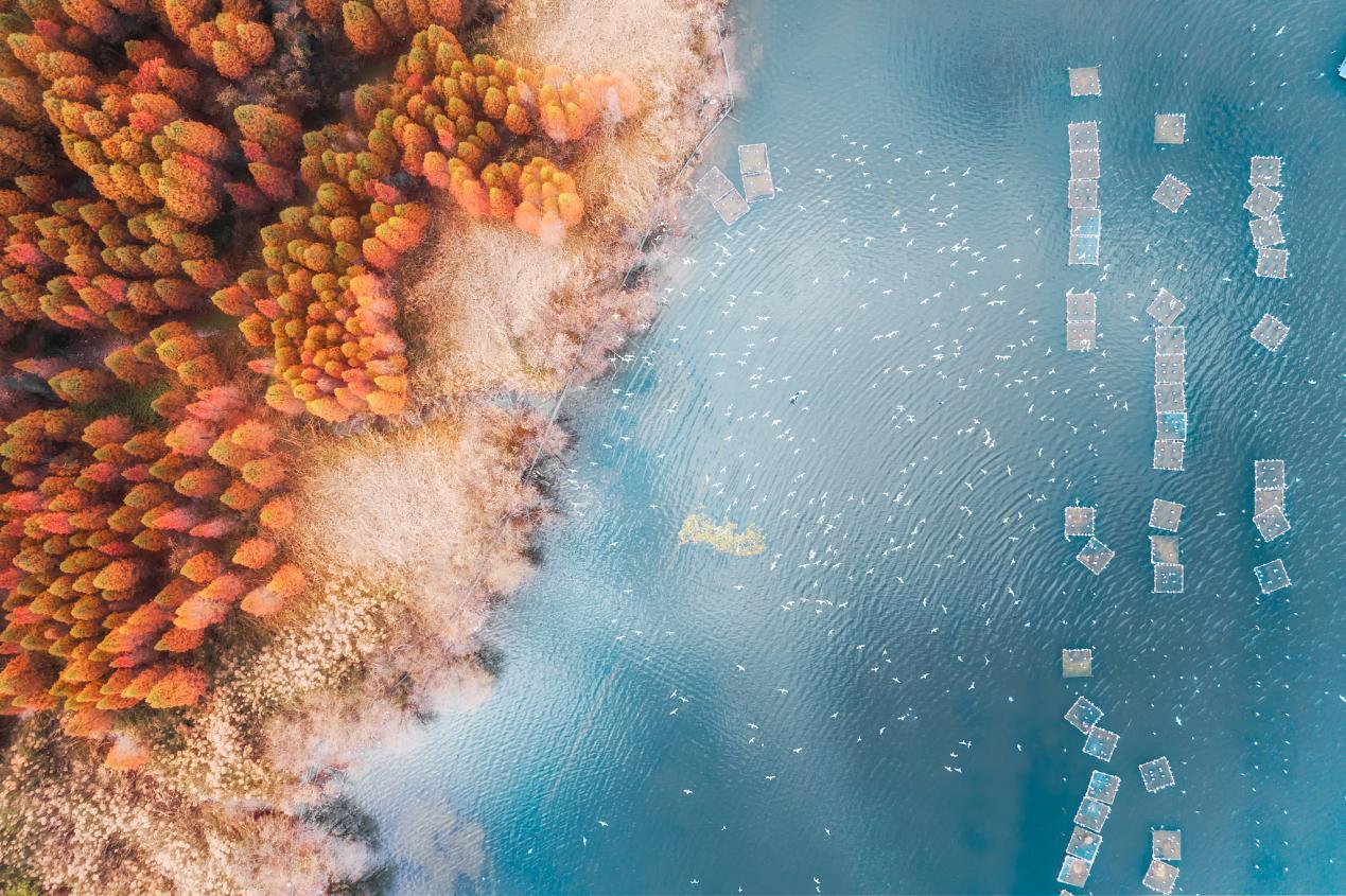 我的宝藏家乡 | 有一种生活叫云南