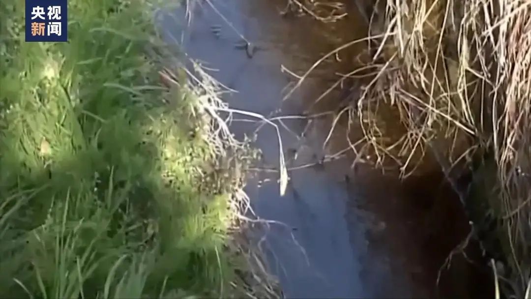 "大为震惊"！最高超标400倍！饮用水含有毒物质…此地最新调查结果→