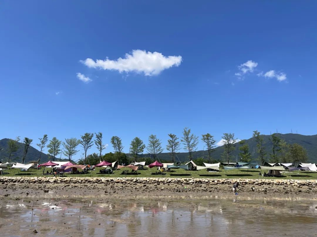 “露营热”“美术馆热”……这个假期你“轻旅游”和“微度假”了吗？