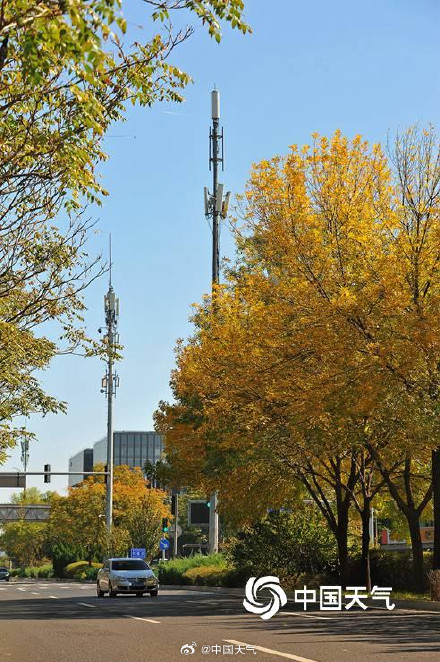 北京秋天的饱和度逐渐拉满