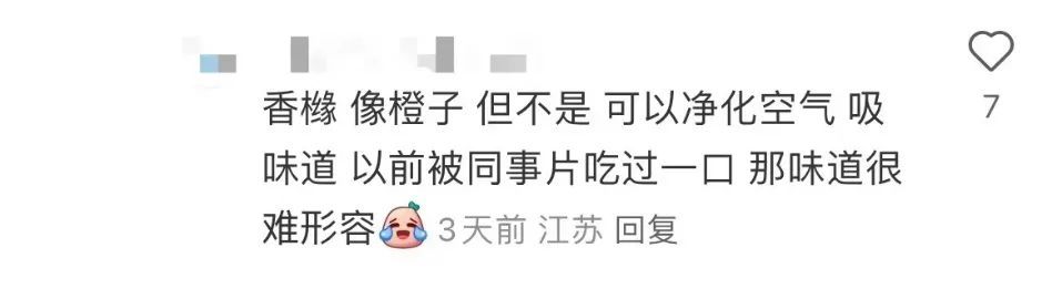 不要吃！不要捡！