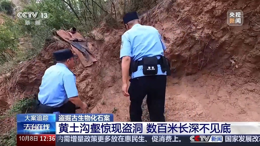 法治在线丨现场查获78袋！团伙盗掘3.5吨古生物化石获刑
