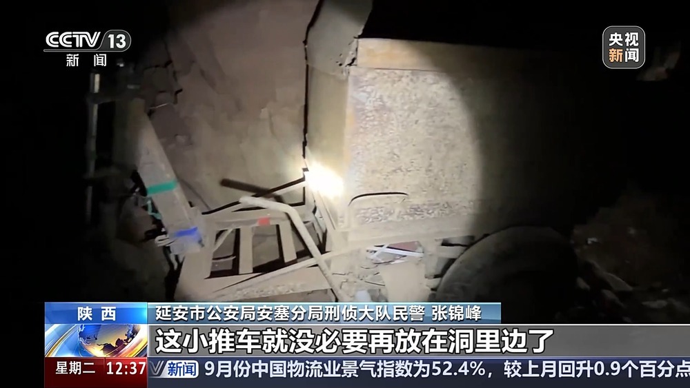 法治在线丨现场查获78袋！团伙盗掘3.5吨古生物化石获刑