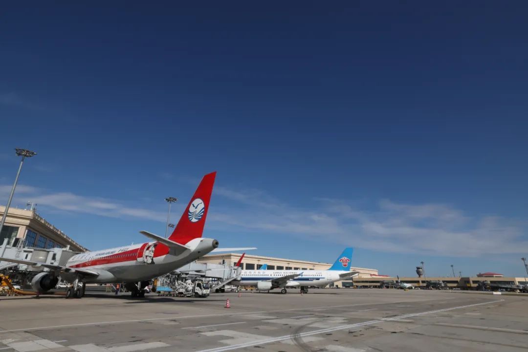 哈尔滨机场黄金周运送旅客50余万人次