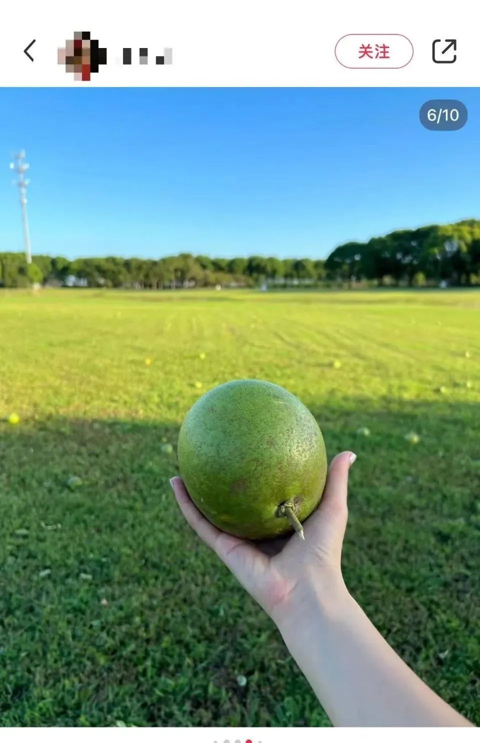 不要吃！不要捡！