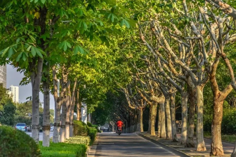 不要吃！不要捡！