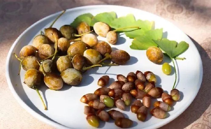 不要吃！不要捡！