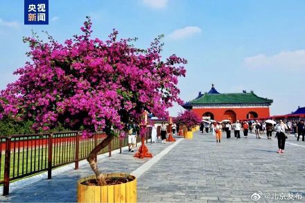 北京国庆假期接待游客2159.64万人次,同比增近两成 北京国庆假期接待游客2159.64万人次,同比增近两成