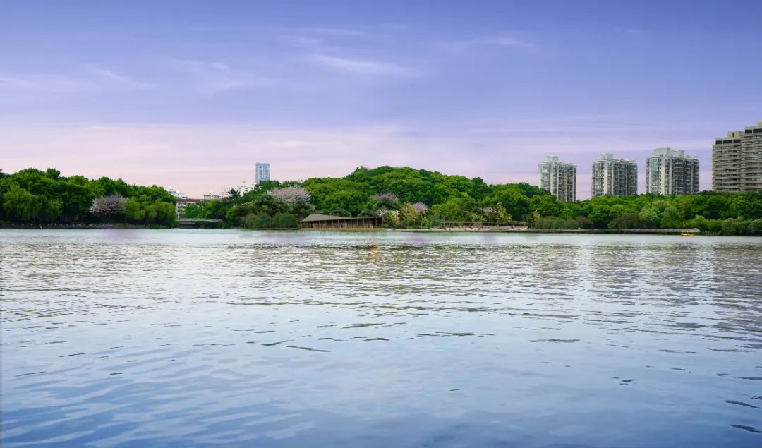 舍不得!上海这座标志性公园即将启动改造,网友惜别:满满都是回忆…… 舍不得!上海这座标志性公园即将启动改造,网友惜别:满满都是回忆……