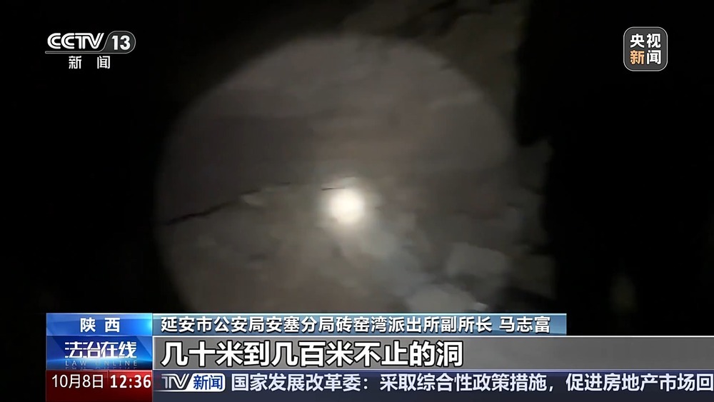 法治在线丨现场查获78袋！团伙盗掘3.5吨古生物化石获刑